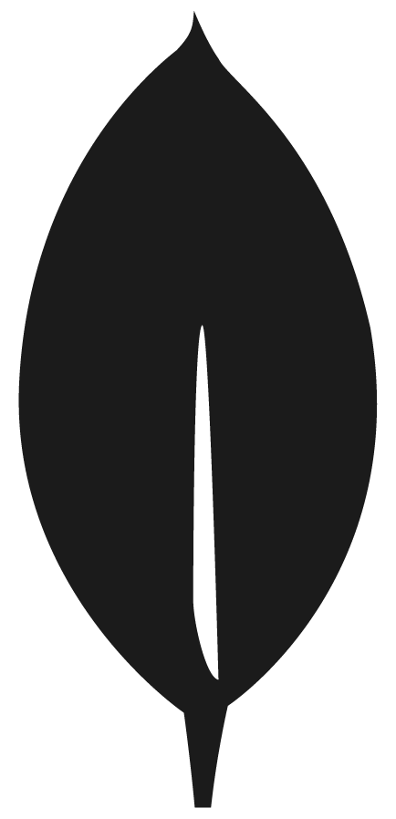 MongoDB